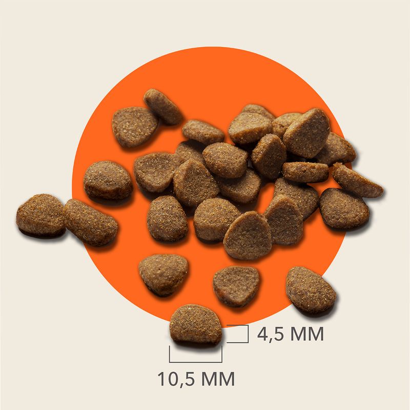 IAMS Advanced Nutrition Adult Cat with Salmon || IAMS || view 4