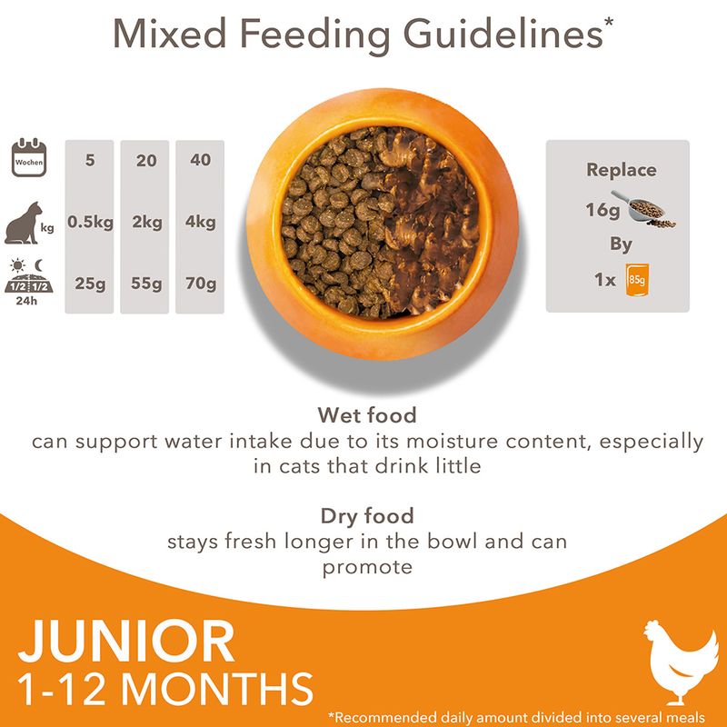IAMS Advanced Nutrition Kitten with Fresh Chicken || IAMS || view 7