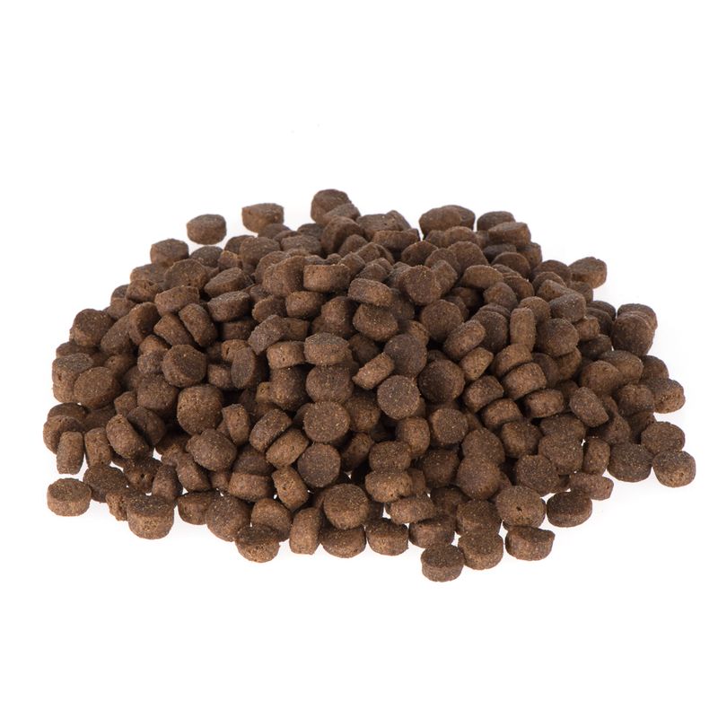 Briantos Junior || briantos || view 6