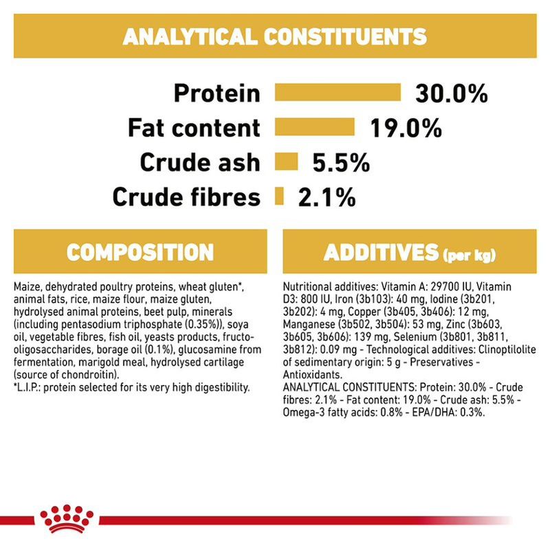 Royal Canin Poodle Adult || Royal Canin Breed || view 8