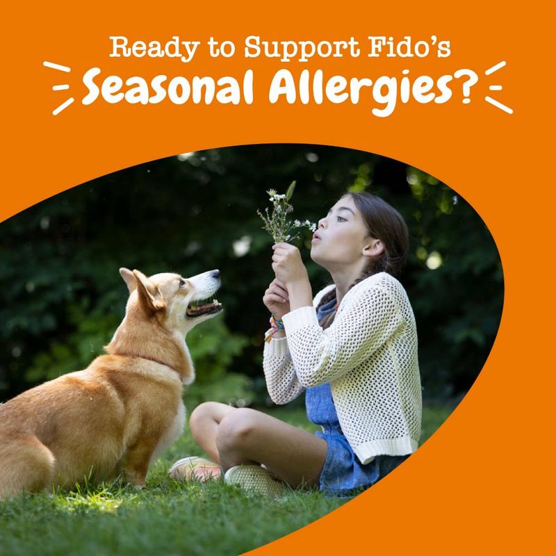 Zesty Paws Allergy & Immunity Chews - Salmon || Zesty Paws || view 7