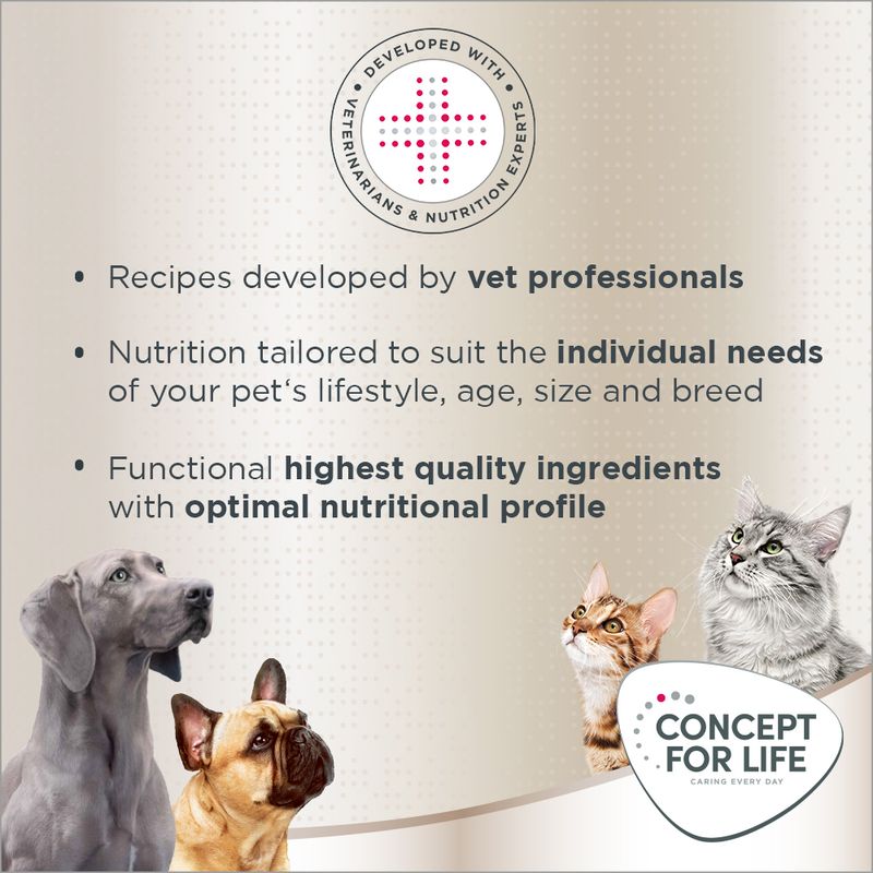 Concept for Life Labrador Sterilised || Concept for Life || view 11