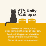 Applaws Adult Cat Cans in Jelly 70g || undefined || view 10