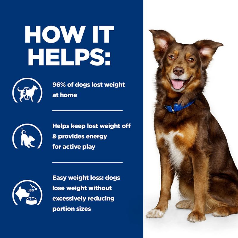 Hill's Prescription Diet Canine Metabolic Weight Management - Lamb & Rice || Hill's Prescription Diet || view 5