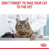 Royal Canin Hair & Skin Care in Gravy || undefined || view 12