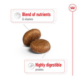 Royal Canin Maxi Adult 5+ || Royal Canin Size || view 4