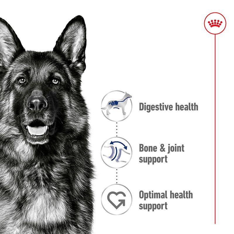Royal Canin Maxi Adult || Royal Canin Size || view 3