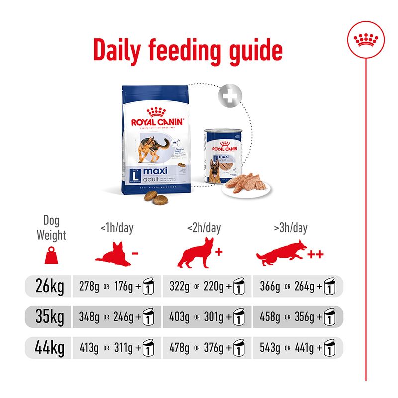 Royal Canin Maxi Adult || Royal Canin Size || view 9