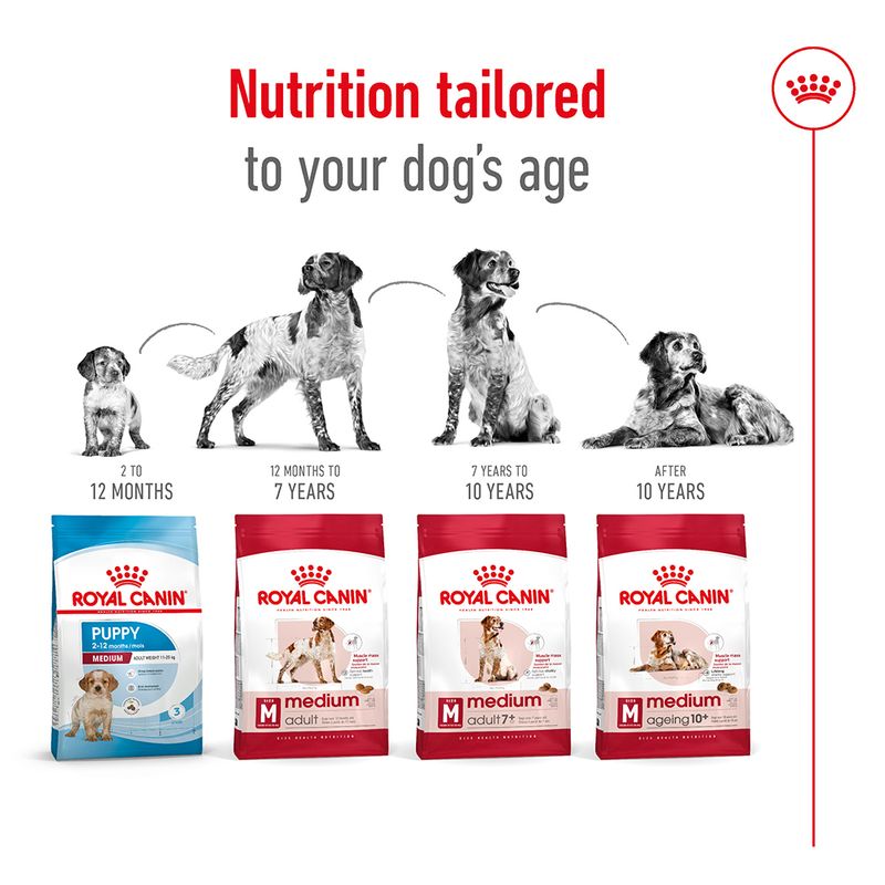 Royal Canin Medium Adult || Royal Canin Size || view 6