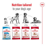 Royal Canin Medium Adult || Royal Canin Size || view 6