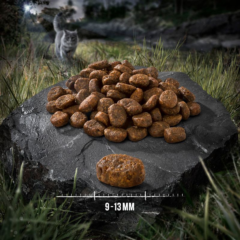 Wild Freedom Adult "Green Lands" Lamb - Grain-Free || Wild Freedom || view 3