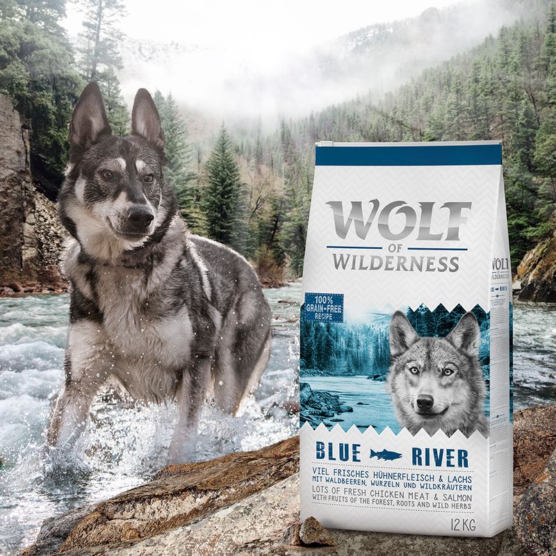 Wolf of Wilderness Dry Dog Food Trial Pack || Wolf of Wilderness || view 6