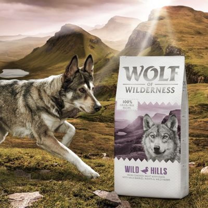 Wolf of Wilderness Adult "Wild Hills" - Duck || Wolf of Wilderness || view 5