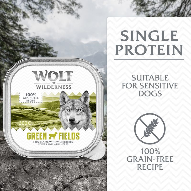 Wolf of Wilderness Adult Classic 6 x 300g || Wolf of Wilderness || view 1