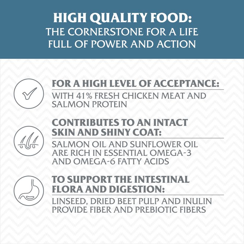 Wolf of Wilderness Adult "Blue River" - Salmon || Wolf of Wilderness || view 5