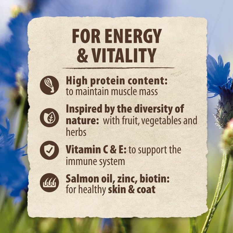 Purizon Single Meat Adult Dog - Grain-Free Salmon with Cornflower Blossoms || Purizon || view 5