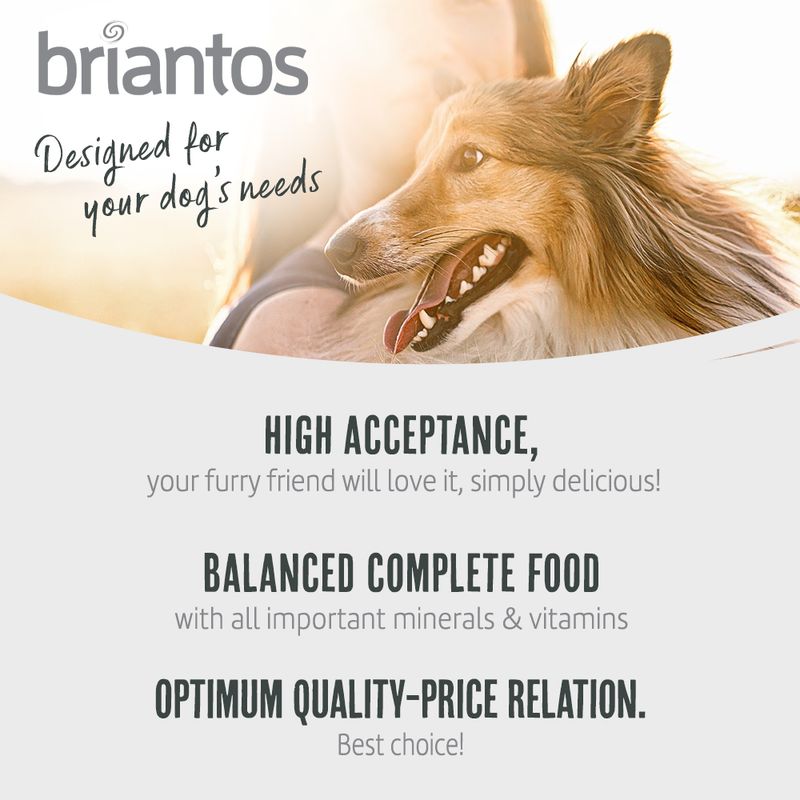 Briantos Adult Grain-Free Lamb & Potato || briantos || view 3