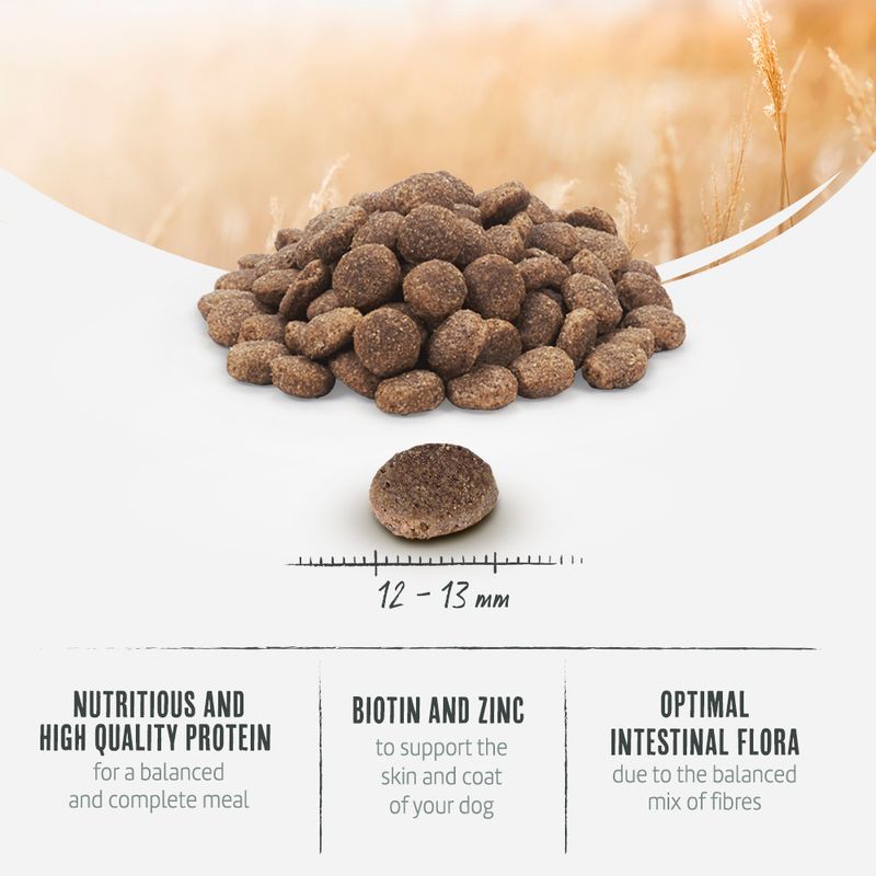 Briantos Adult Grain-Free Duck & Potato || briantos || view 4