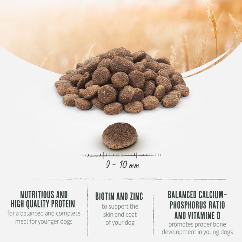 Briantos Junior Grain-Free Chicken & Potato || briantos || view 5