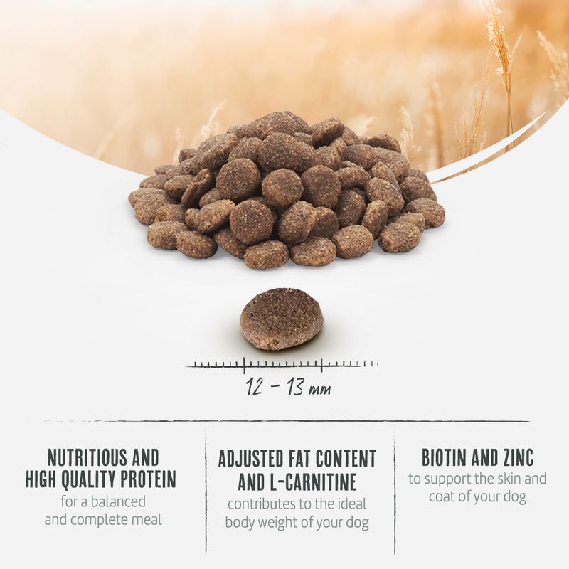 Briantos Adult Light/Sterilised Grain-Free Turkey & Potato || briantos || view 4