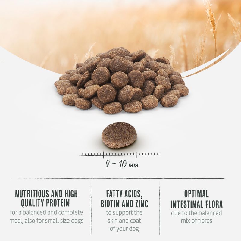 Briantos Adult Mini Grain-Free Salmon & Potato || briantos || view 4