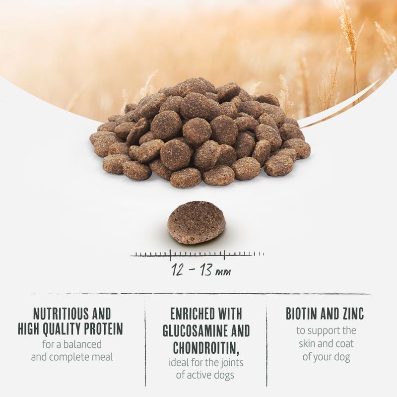 Briantos Adult Mobility Grain-Free Chicken & Potato || briantos || view 5