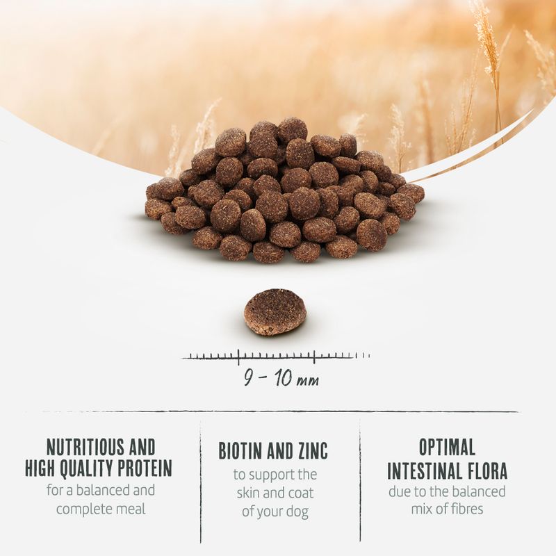 Briantos Adult Mini Lamb & Rice || briantos || view 5