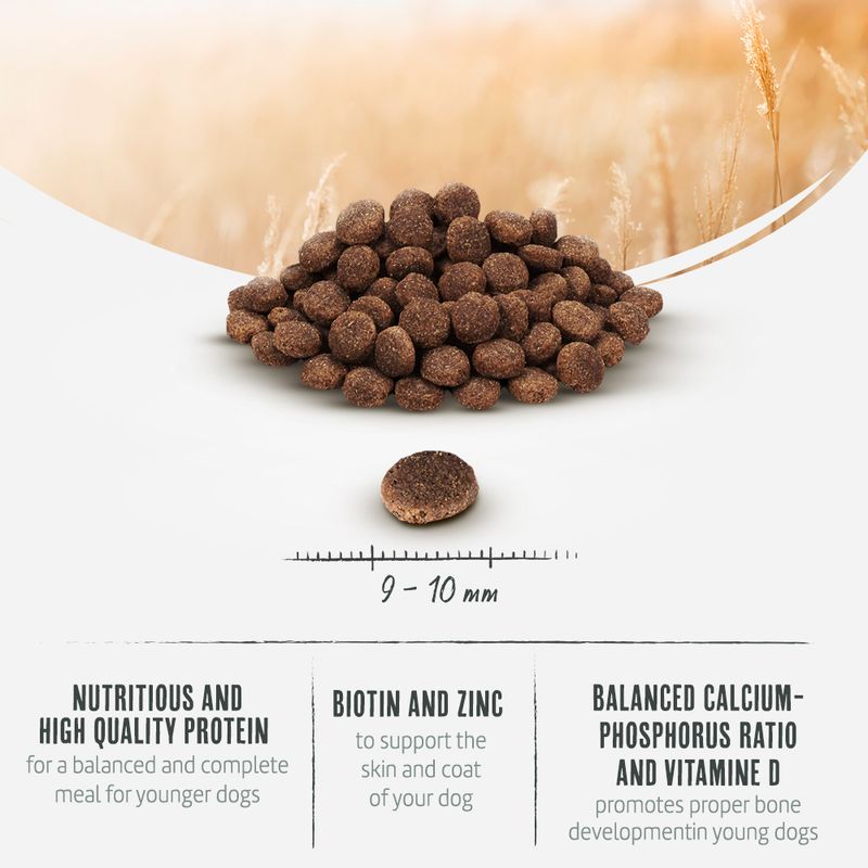 Briantos Junior || briantos || view 7