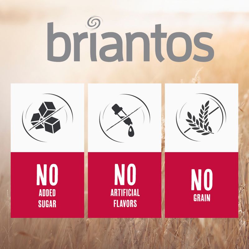 Briantos Adult Mini Grain-Free Salmon & Potato || briantos || view 5