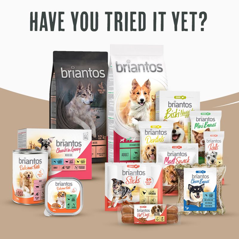 Briantos Maxi Adult || briantos || view 10