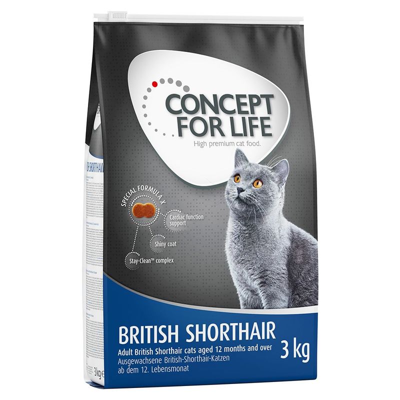 Concept for Life British Shorthair Adult || Concept for Life || view 3