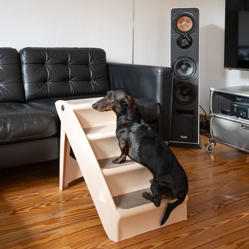 Easy Up Stairs Dog Stairs || zooplus Exclusive || view 4