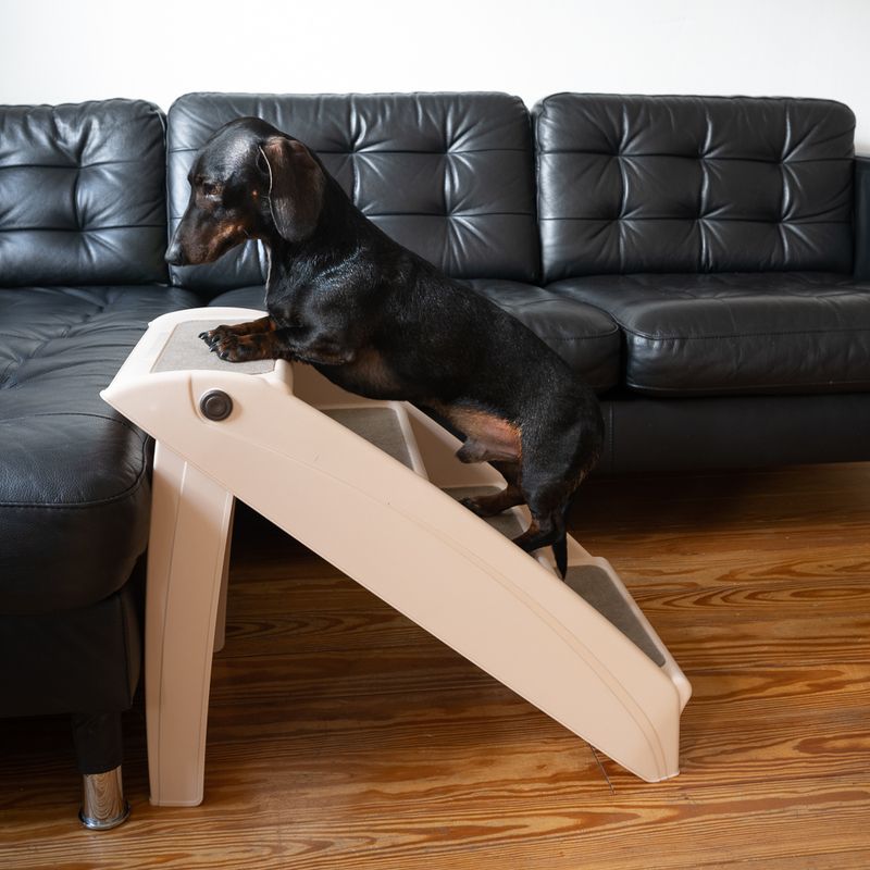 Easy Up Stairs Dog Stairs || zooplus Exclusive || view 14