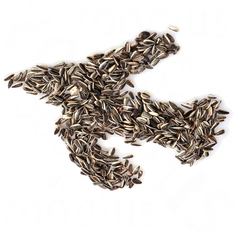 Lillebro Sunflower Seeds for Wild Birds || undefined || view 4