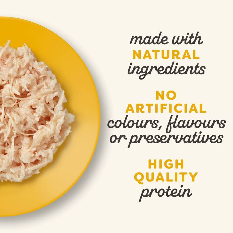 Applaws Adult Cat Cans in Jelly 70g || undefined || view 9