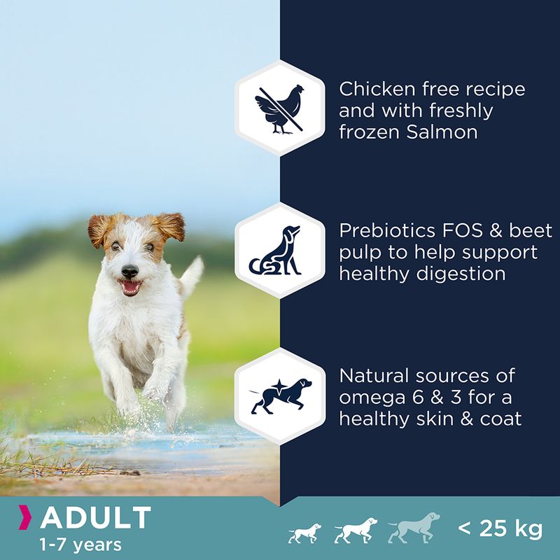 Eukanuba Grain-Free Small & Medium Breed Adult with Ocean Fish || Eukanuba || view 4
