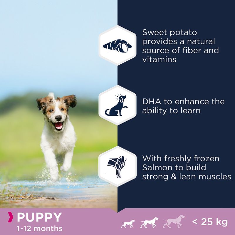 Eukanuba Grain-Free Large Breed Adult with Ocean Fish || Eukanuba || view 7