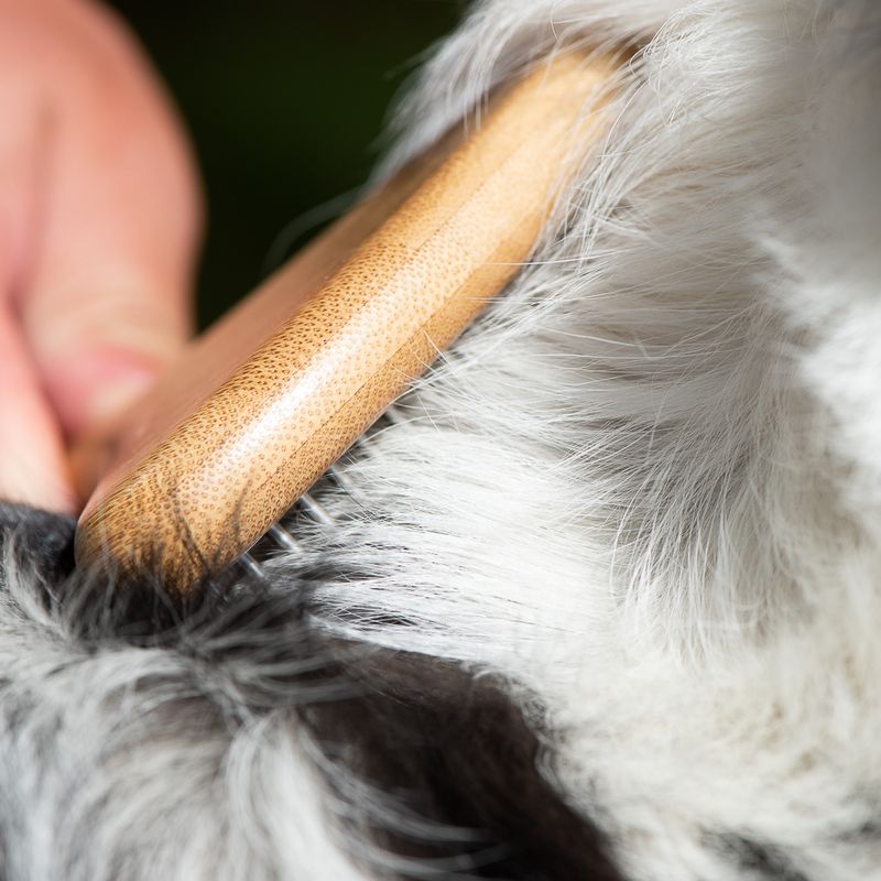 kooa Bamboo Undercoat Rake with Rotating Pins || kooa || view 6