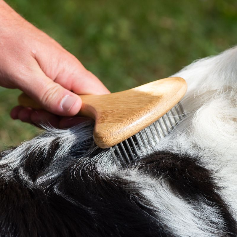 kooa Bamboo Undercoat Rake with Rotating Pins || kooa || view 9