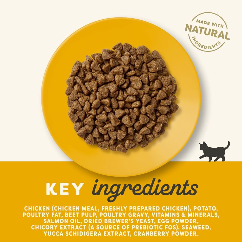 Applaws Cat Food Economy Packs || Applaws || view 18
