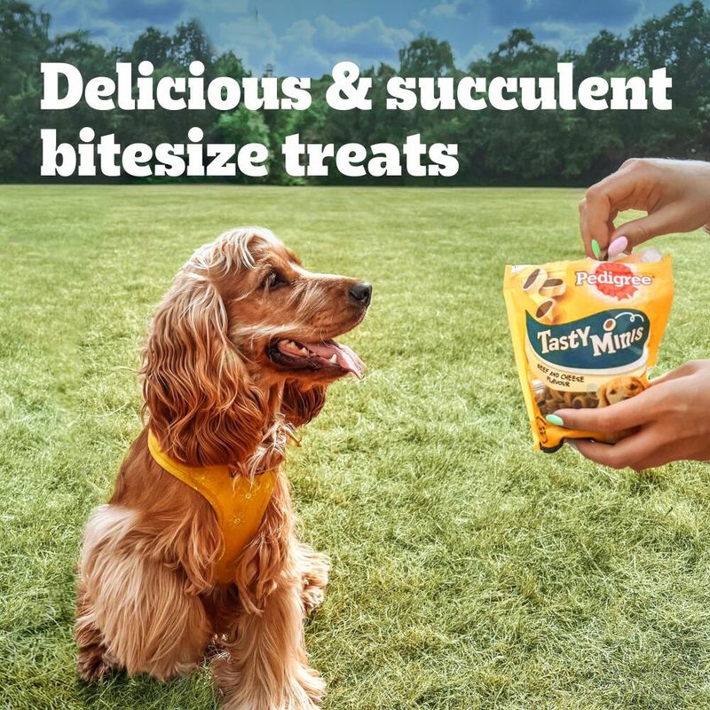 Pedigree Mini Bites - Chicken & Duck (130g) || Pedigree || view 7