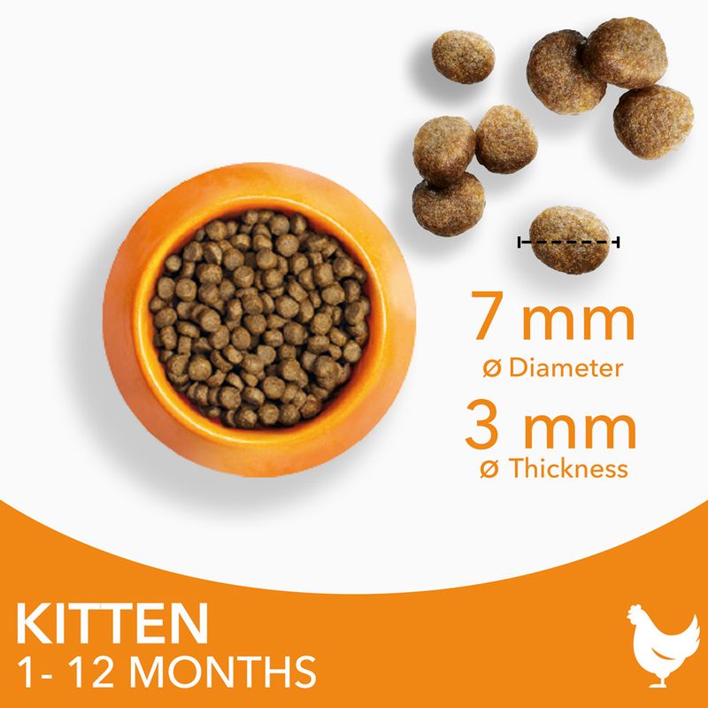 IAMS Advanced Nutrition Kitten with Fresh Chicken || IAMS || view 5