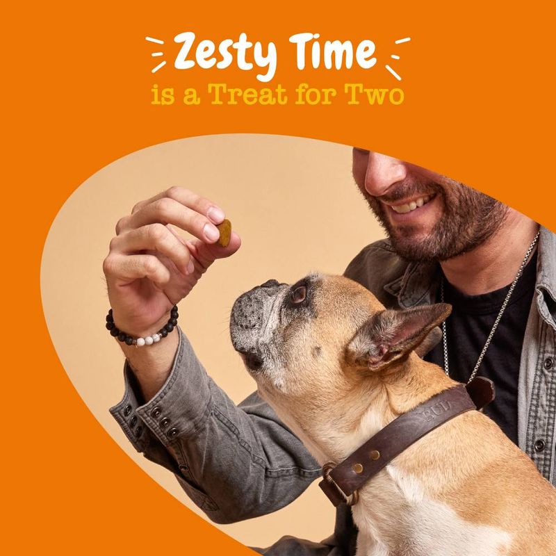 Zesty Paws Senior Advanced 9-in-1 Chews Multifunctional - Turkey || Zesty Paws || view 8