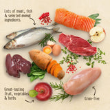 Purizon Adult Grain-Free Venison with Fish || Purizon || view 6