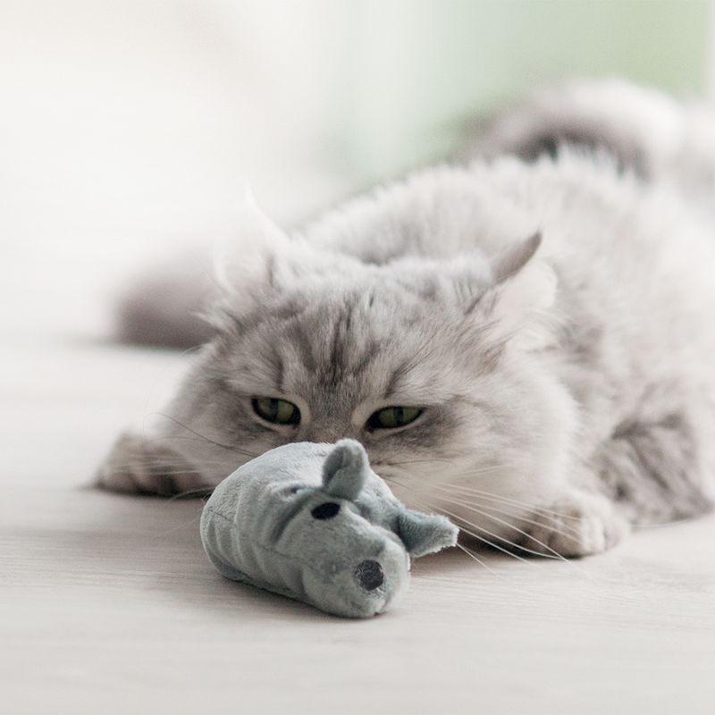 Aumüller Cat Toy Mouse Valeri || undefined || view 11