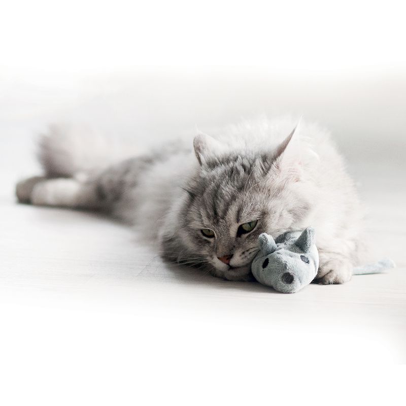 Aumüller Cat Toy Mouse Valeri || undefined || view 10