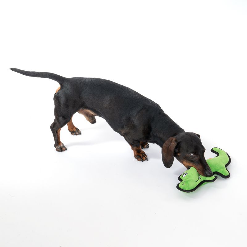 TIAKI Happy Croco Tough Dog Toy || TIAKI || view 4