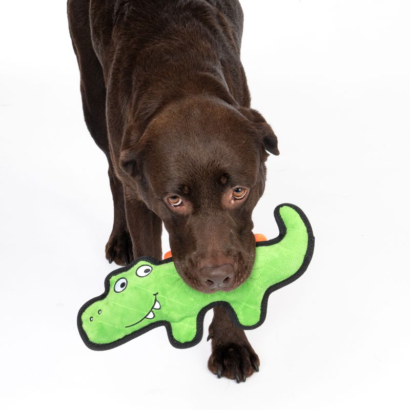 TIAKI Happy Croco Tough Dog Toy || TIAKI || view 10