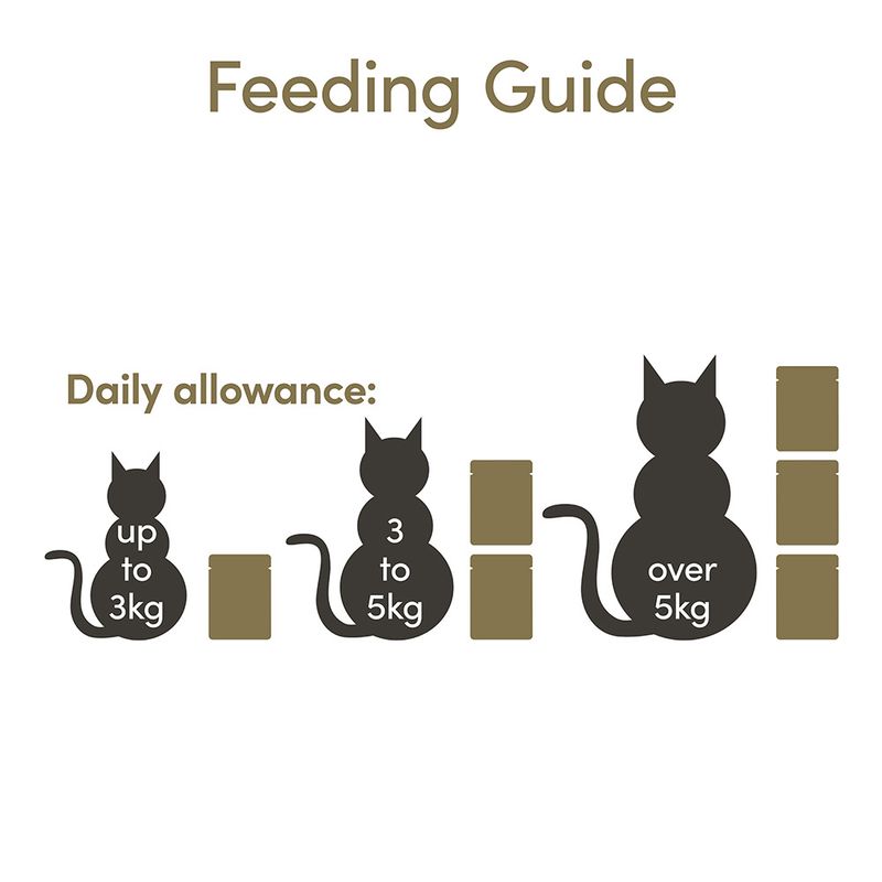 Applaws Adult Cat Pouches in Broth 24 x 70g || undefined || view 25