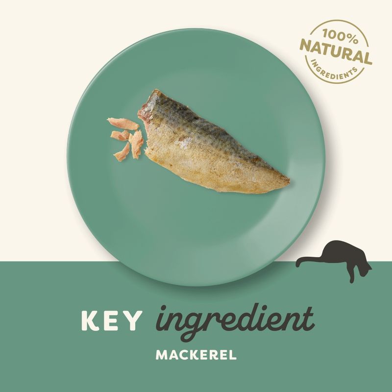 Applaws Cat Mackerel Loin || undefined || view 2